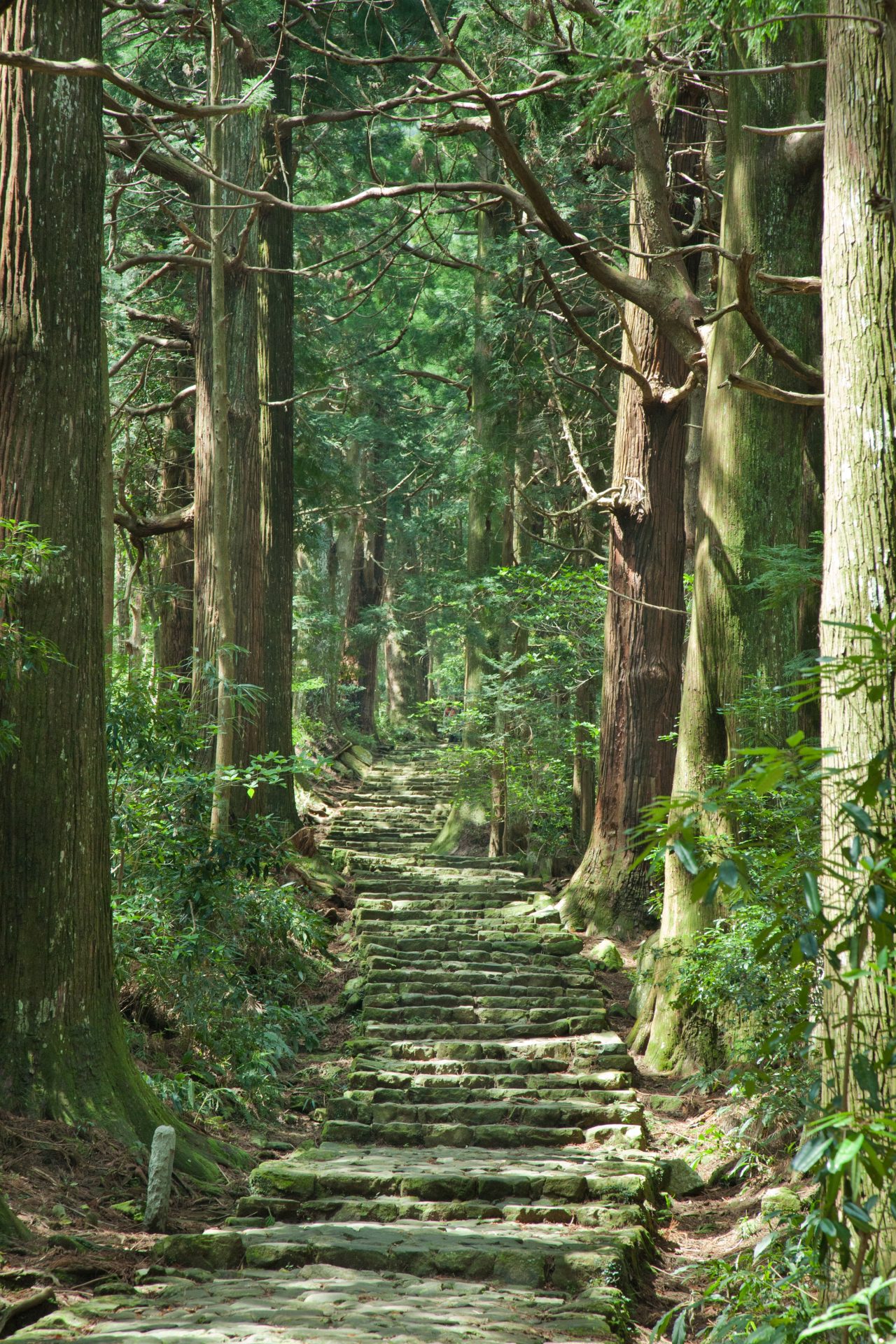 高野山と熊野三山