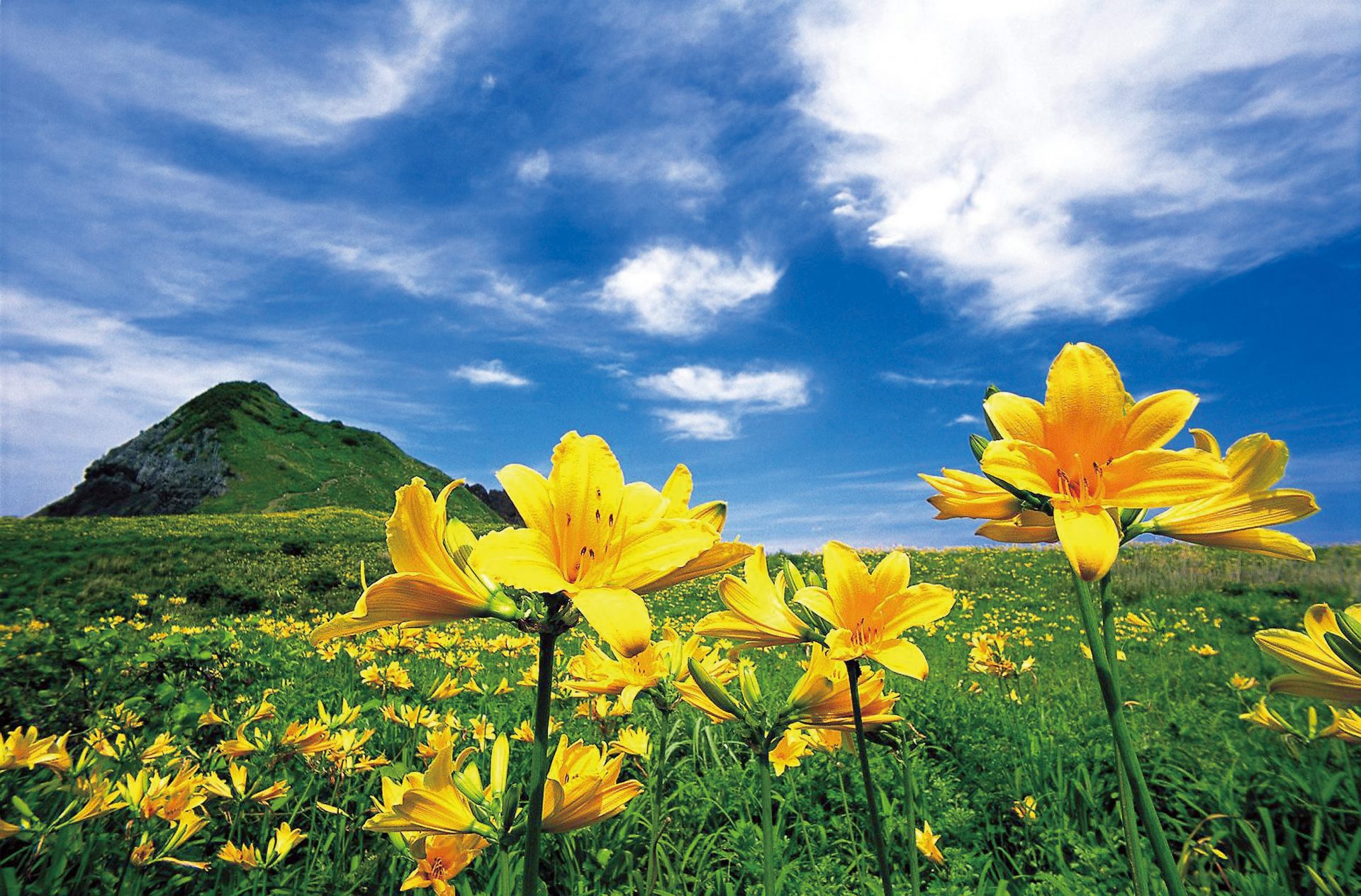 佐渡金山　宵の舞･ﾄﾋﾞｼﾏｶﾝｿﾞｳ