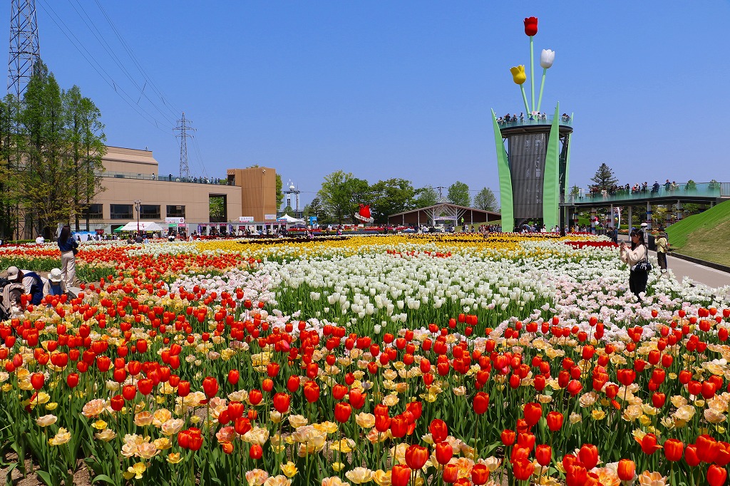 「となみチューリップフェア」を楽しむ北陸春旅1泊2日