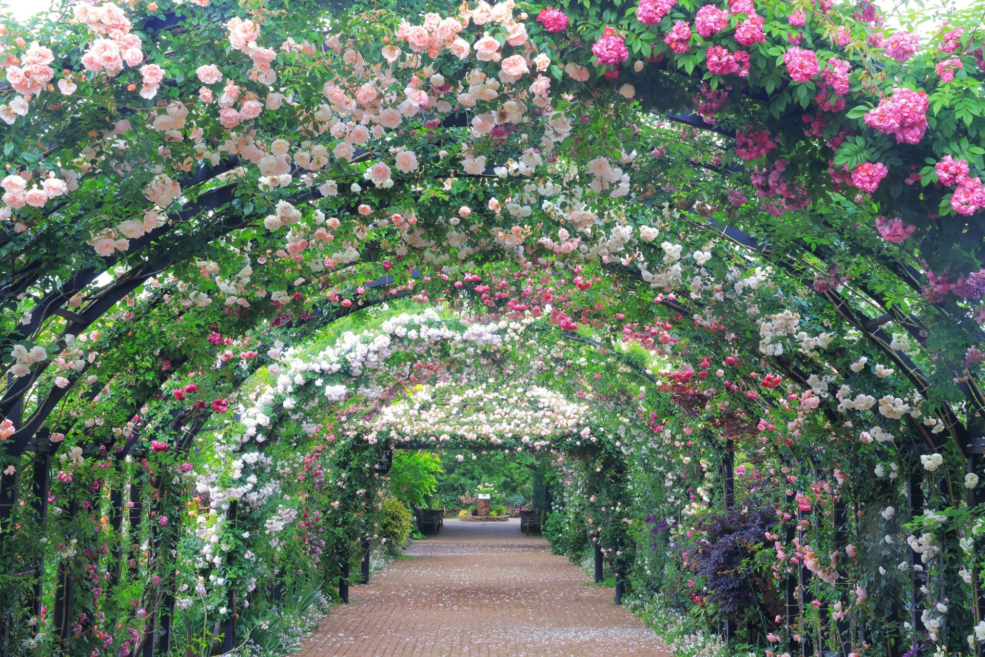 横浜イングリッシュガーデンとアフタヌーンクルーズ