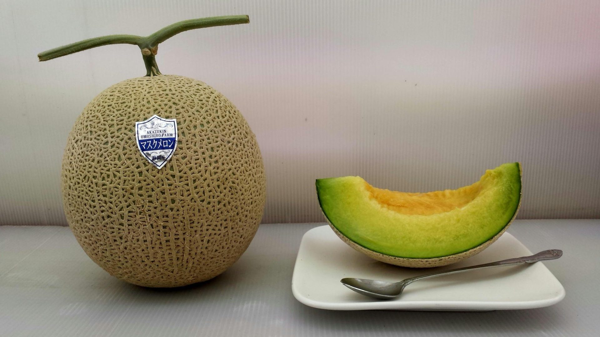 メロンもぎ体験と海鮮昼食