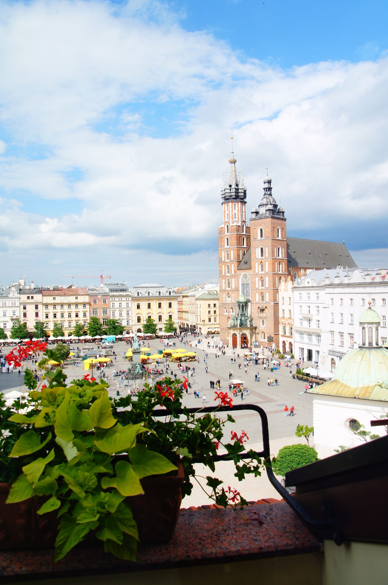 ポーランド世界遺産紀行8日間