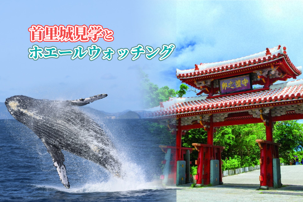 首里城見学とホエールウォッチング